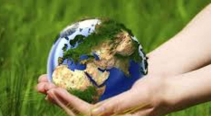 Έτσι καταστρέφει το φυσικό της πλούτο η Ελλάδα – Έκθεση κόλαφος της WWF για την προάσπιση του περιβάλλοντος