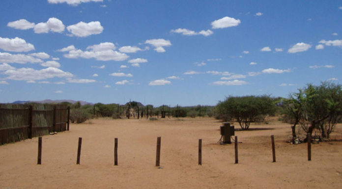 Το ημερολόγιο ενός ταξιδευτή (5η & 6η εβδομάδα)