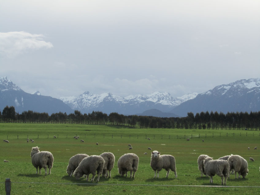 new-zealand-2_2