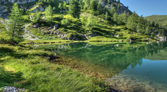 Προστασία και Βιώσιμη Ανάπτυξη
