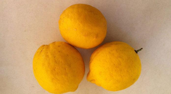 Το λεμόνι υπερτροφή για την υγεία μας