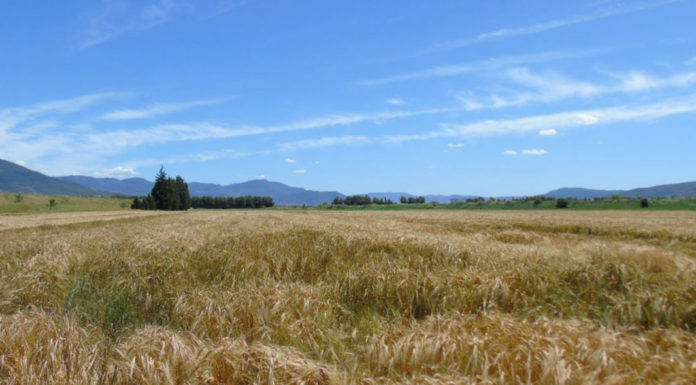 Αν δεν μας τρελάνουν τελείως δεν θα ησυχάσουν!