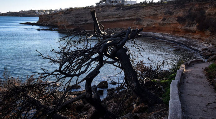 Ένας χρόνος μετά την τραγωδία στο Μάτι