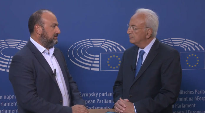 Δημήτρης Παπαδάκης, Ευρωβουλευτής ΕΔΕΚ