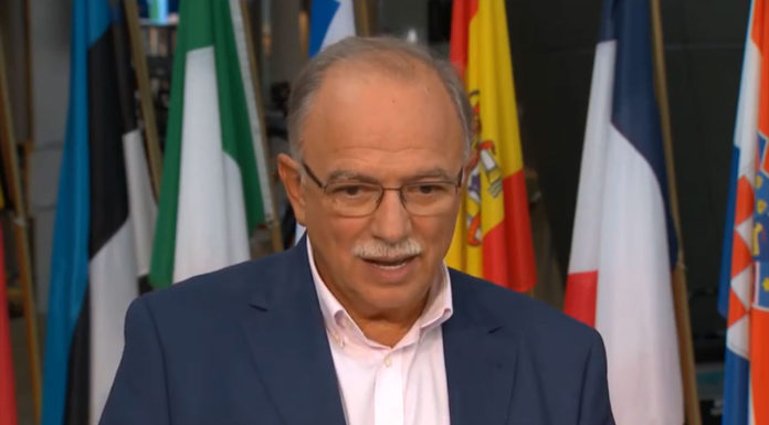 Δημήτρης Παπαδημούλης, Ευρωβουλευτής ΣΥΡΙΖΑ