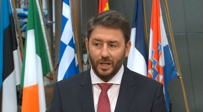 Νίκος Ανδρουλάκης, Ευρωβουλευτής Κίνημα Αλλαγής