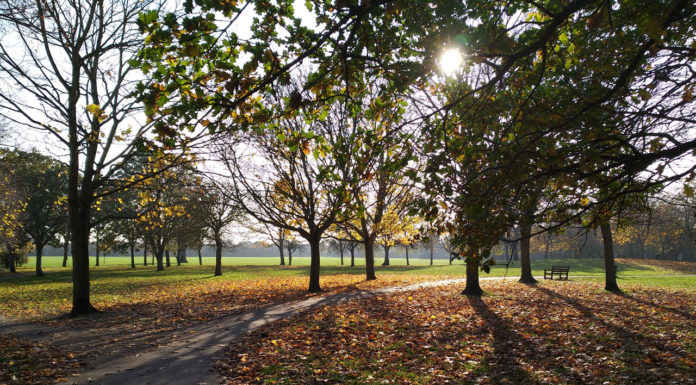 Η Ευρώπη για την βιοποικιλότητα