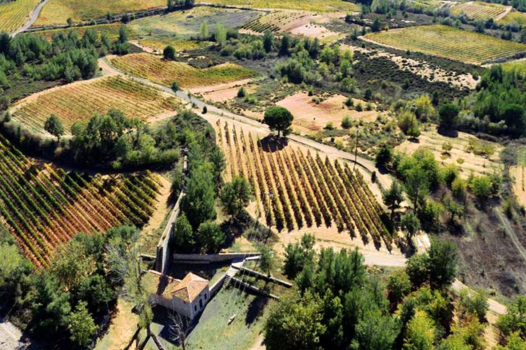 NEMEA KTHMA AMPELIA-1200x800