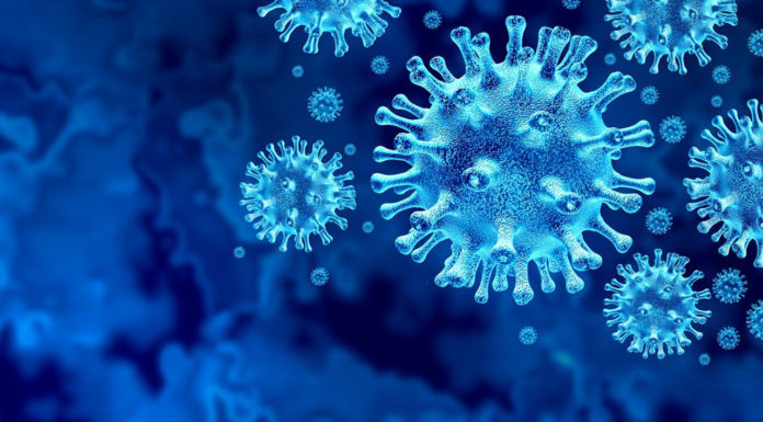 Ο κορωνοϊός ήλθε για να μείνει