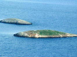«EGAYDAAK»: Τα 152 ελληνικά νησιά που αμφισβητούν οι Τούρκοι