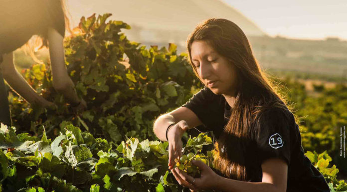 Πρόσκληση σε γεύμα σε ένα κόκκινο κρασί