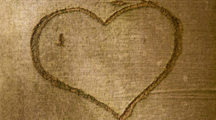 Πώς να αναπτύξετε συναισθηματική νοημοσύνη