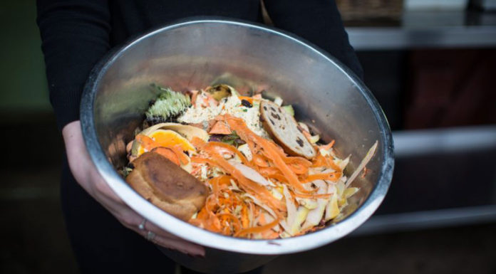 WWF: Περίπου 88 εκατ. τόνοι τροφής καταλήγουν στα σκουπίδια