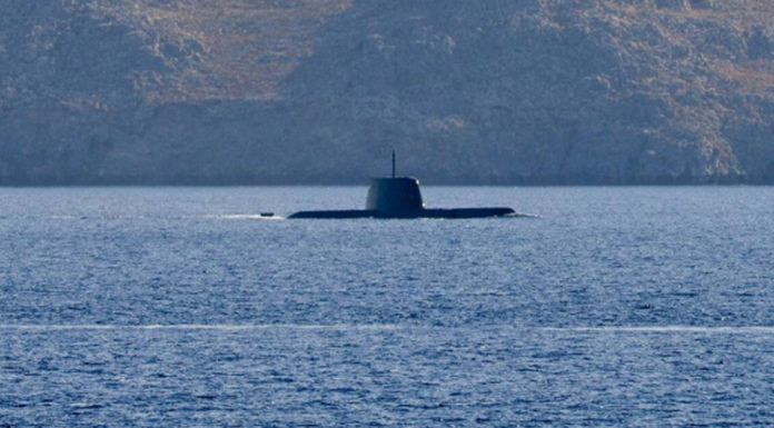 Το άγριο θεριό της λόχμης … Του Βασίλειου Γρ. Παπαδάκη