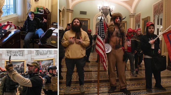 Οι εισβολείς του Καπιτωλίου: Ο κερασφόρος, ο hater της Πελόζι και ο… γελαστός κλέφτης… Της Νάνσυ Κουλούρα