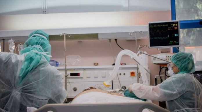 Πώς επηρεάζουν τα μικρόβια του εντέρου την ανοσία απέναντι στον κοροναϊό