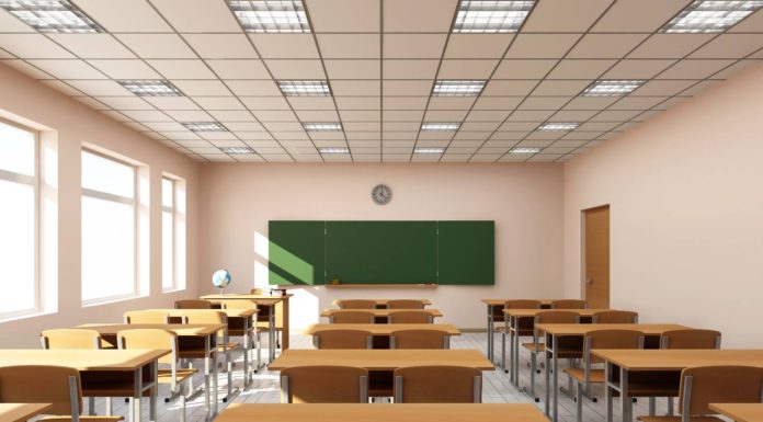 Τοπικά βιολογικά τρόφιμα στα σχολικά κυλικεία