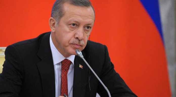 Τα όρια του ερντογανικού μεγαλοϊδεατισμού και οι «ανοχές» της Ελλάδας… Του Θεόδωρου Τσακίρη