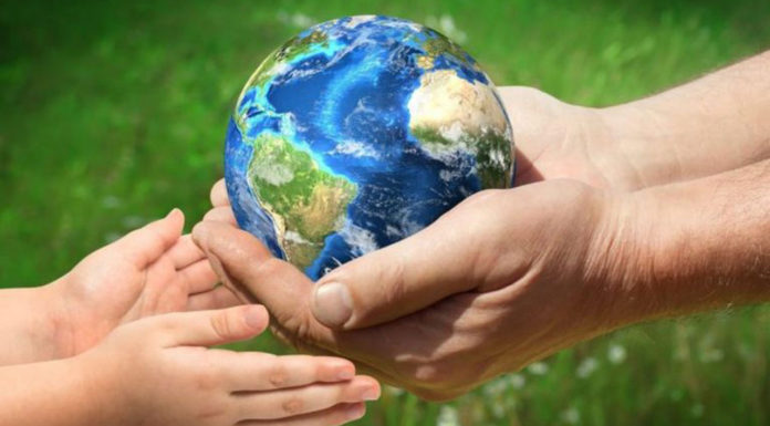 Η SAS γιορτάζει την Ημέρα της Γης συμβάλλοντας στη μείωση της αποψίλωσης των δασών και των εκπομπών αερίων