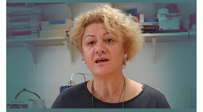 Ελεύθερα ΜΜΕ: «Δράσε ή αντιμετώπισε τις συνέπειες»