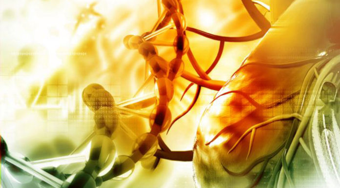 Πνευμονική εμβολή: Η σπάνια αλλά επικίνδυνη επιπλοκή που σκότωσε την 30χρονη έγκυο στην Κατούνα