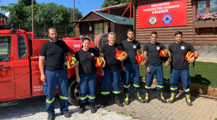 Κινητοποίηση της INTERAMERICAN για την προστασία των δασών