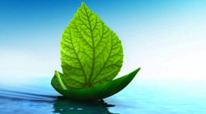 Πράσινη Επιχειρηματικότητα και Καινοτομία στην Ελληνική Ναυτιλία