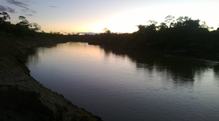 Βιοποικιλότητα: υποχρεωτική προστασία άγριας ζωής και ανθρώπων ζητά το ΕΚ