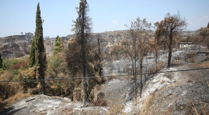 EFFIS: Περισσότερα από ένα εκατ. στρέμματα κάηκαν μέσα σε δύο εβδομάδες