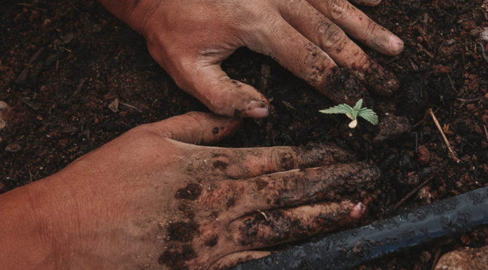 Η επόμενη μέρα της ελληνικής αγροτικής Οικονομίας… Tων Ναπολέοντα Μαραβέγια και Γιάννη Δούκα