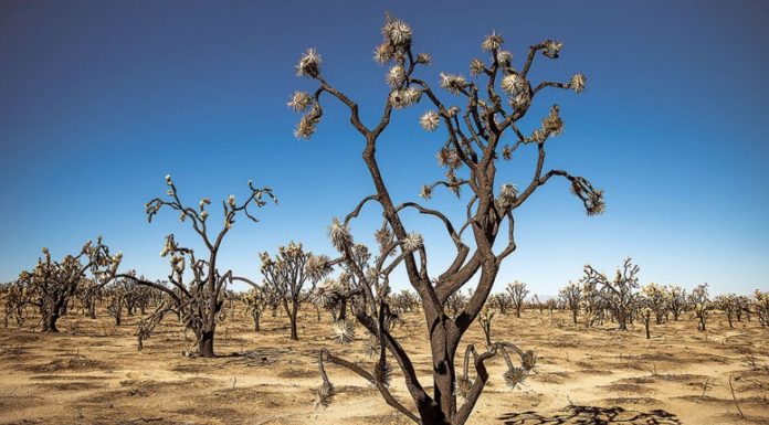 Η κλιματική κρίση σε αριθμούς