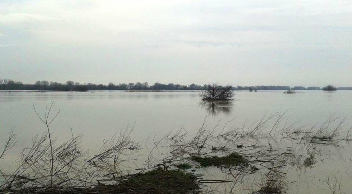 Ποια σύνορα – Οι αναλυτικές οδηγίες Τούρκου για όποιον θέλει να περάσει από τον Εβρο στην Ελλάδα
