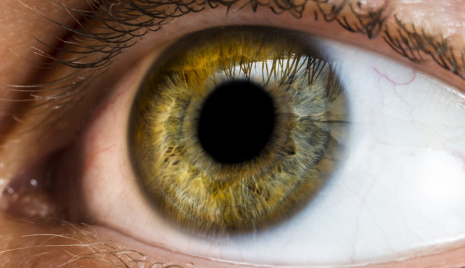 Σύστημα τεχνητής νοημοσύνης «διαβάζει» στα μάτια τον κίνδυνο εμφράγματος