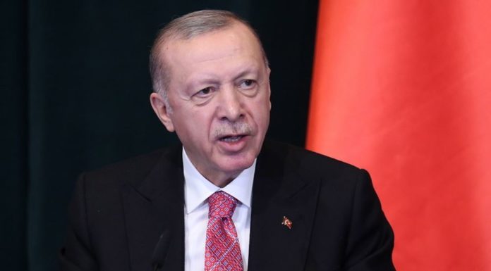 DW: Γιατί φοβάται ο Ερντογάν τον Νούρι Μποζκίρ;