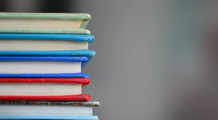 Δύο τομές στην εκπαίδευση … Του Διονύση Γουσέτη
