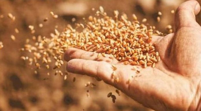 Επισιτιστική επάρκεια: Αξιοποίηση των ακαλλιέργητων εκτάσεων του Δμοσίου προτείνει το ΕΒΕΘ