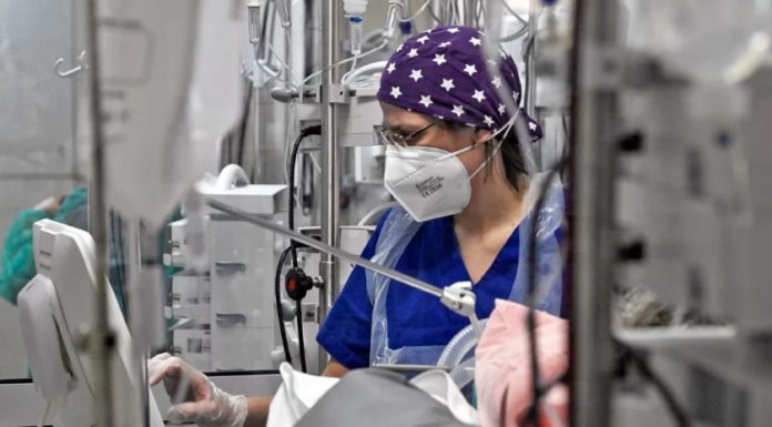 Μύκητας Candida auris: Τι είναι, πού τον συναντάμε και πόσο πρέπει να ανησυχούμε -Καθηγήτρια Ιατρικής εξηγεί