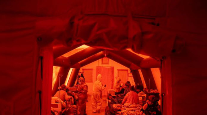 Παγώνη: Επιθετικός μύκητας ο Candida Auris – Σκοτώνει 6 στους 10 στο εξωτερικό