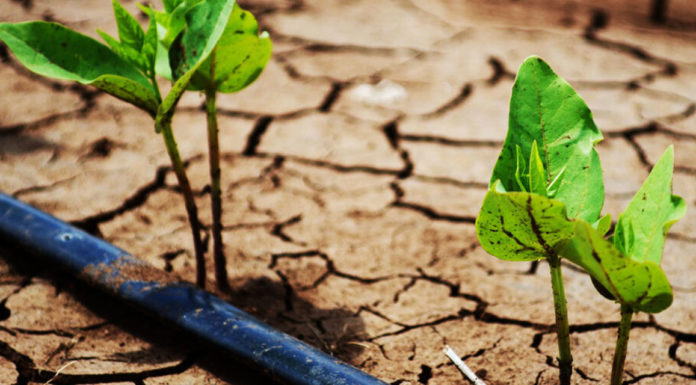 Η Κλιματική Αλλαγή και οι Έλληνες