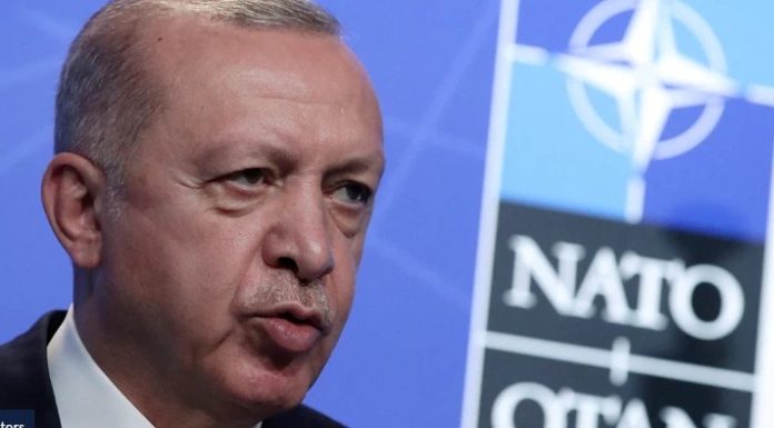Economist για Τουρκία: Το μαύρο πρόβατο του ΝΑΤΟ – Είναι η χώρα μεγαλύτερος μπελάς παρά όφελος για τη συμμαχία;