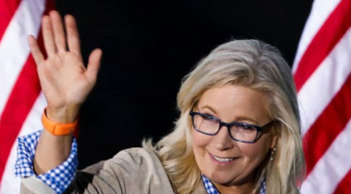 Η Liz Cheney και οι Αμερικανικές ενδιάμεσες εκλογές… Του Αντώνη Τριφύλλη