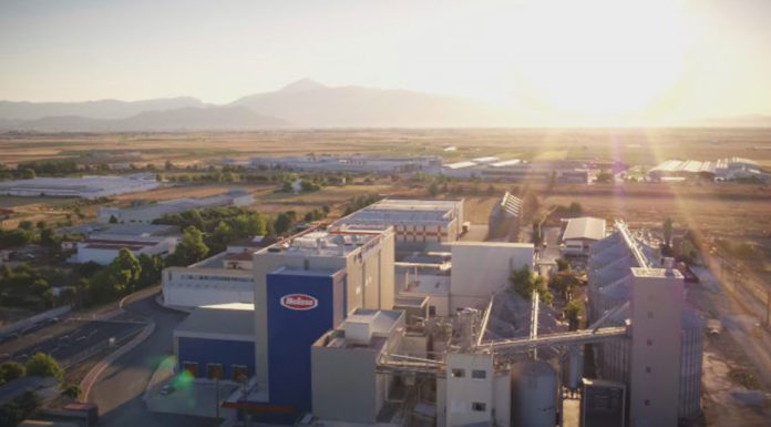 Μέλισσα Κίκιζας: Η υπεραξία της Terra Creta, οι νέες επενδύσεις και γιατί μειώθηκαν τα κέρδη… Της Ξανθής Γούναρη