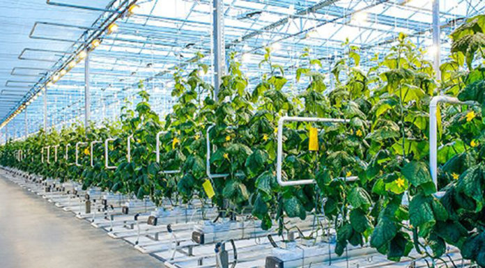 Tην τεχνολογία επιστρατεύει η Ευρώπη στη μάχη για την επισιτιστική ασφάλεια