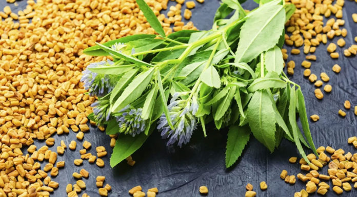 5 τροφές που εξισορροπούν τα επίπεδα σακχάρου στο αίμα