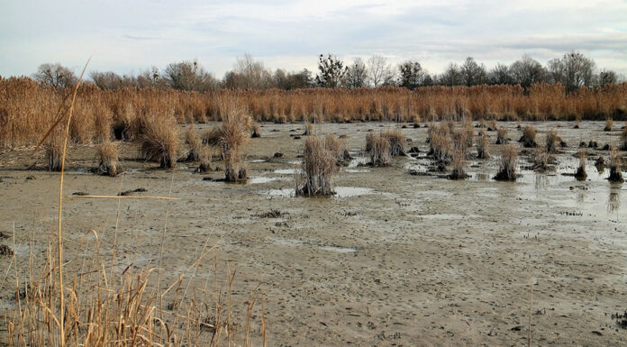 Πώς να ρίξεις την πολιτική ζωή μιας χώρας στον βούρκο… Του Μάνου Βουλαρίνου