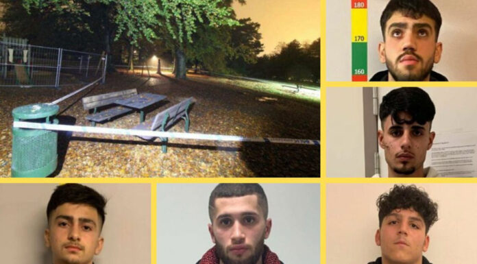 Αποχαιρέτα τη, τη Σουηδία που χάνεις… Του Θάνου Τζήμερου