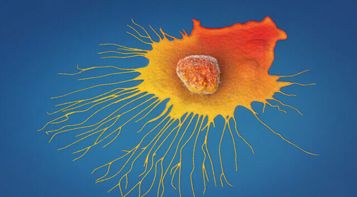 Ισραηλινοί επιστήμονες λένε ότι η ουσία αποτρέπει την εξάπλωση του καρκίνου σε ποντίκια με 90% επιτυχία… Του Νέιθαν Τζεφαϊ