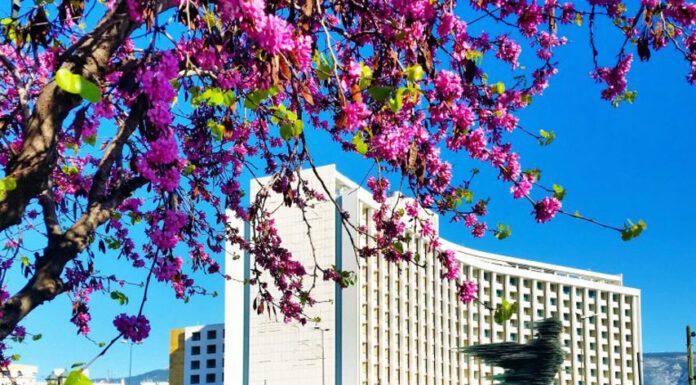ΤΕΜΕΣ: Το λιφτινγκ στο Hilton, η ανάπτυξη στο Ελληνικό και η μεγάλη άφιξη στο Costa Navarino