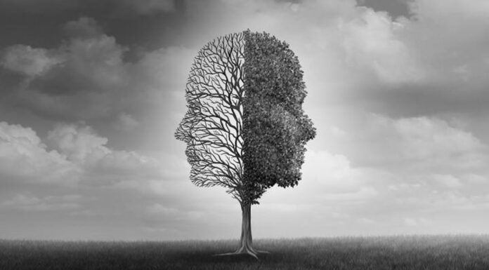 Μαραμένα τα γιούλια και οι βιόλες… Του Κυριάκου Μπερμπερίδη