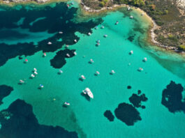 Χαλκιδική: O Σταύρος Ανδρεάδης επενδύει 40 εκ. στη Διάπορο, σε τουριστικό retreat… Της Άννης Καρολίδου